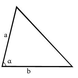 Calculate the area of the triangle and two sides of the angle between them